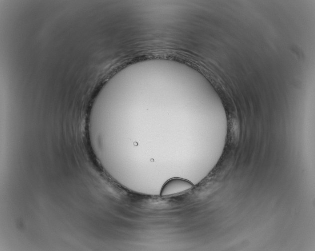 X0000111480668200907141044