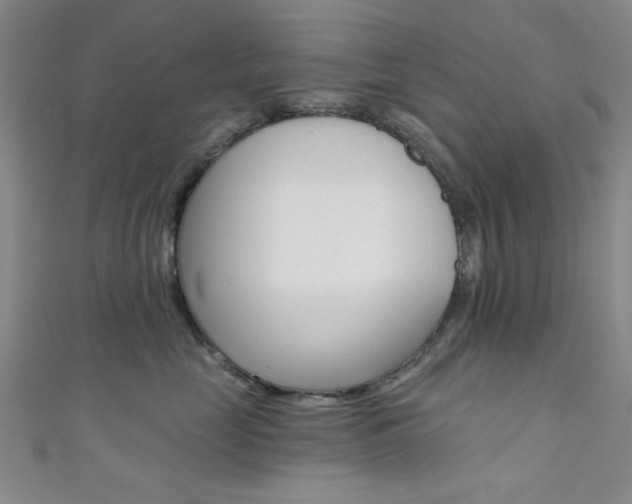 X0000111480669200907141044