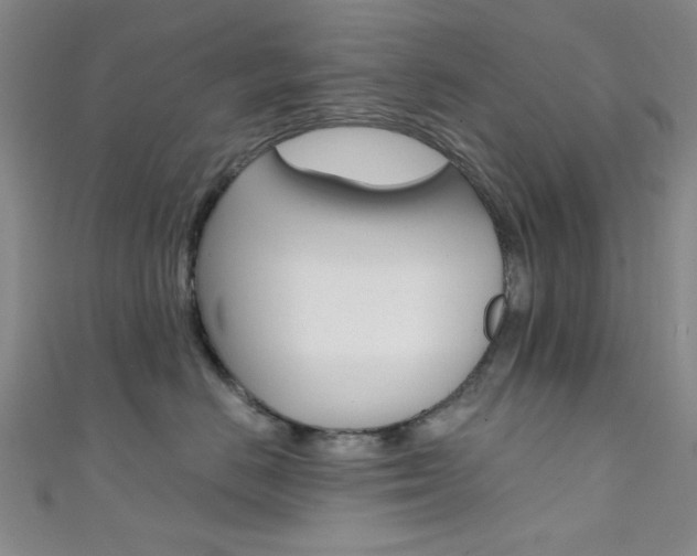 X0000111480670200907141044