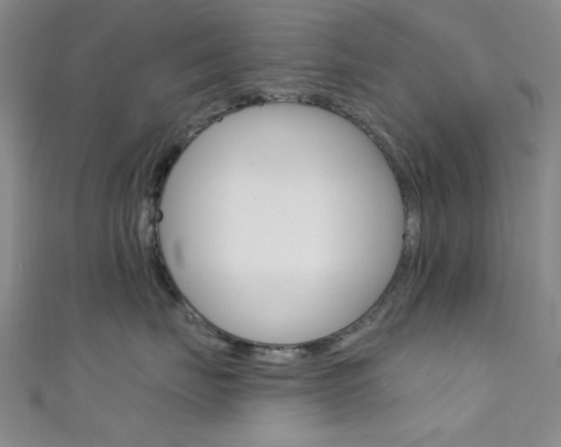 X0000111480671200907141044