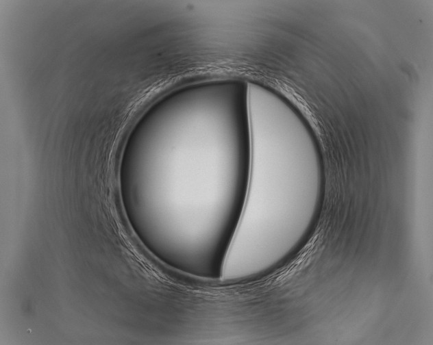 X0000111480673200907141043