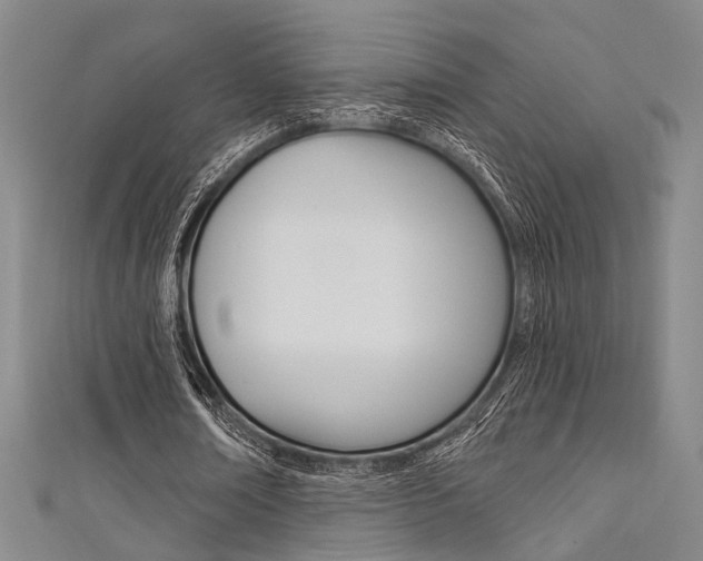X0000111480674200907141043