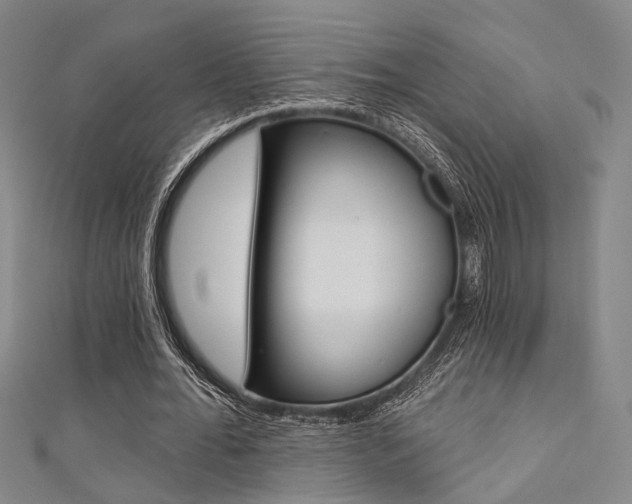 X0000111480676200907141043