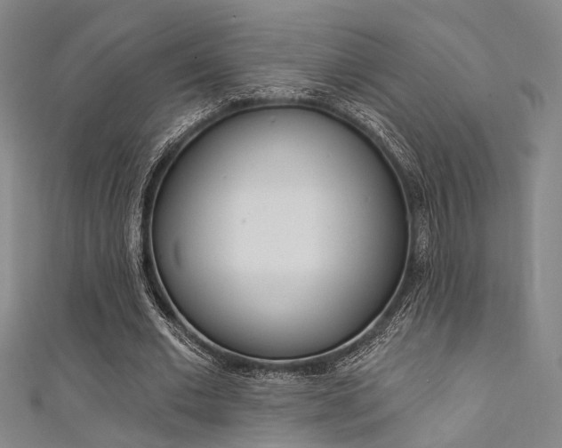 X0000111480677200907141043