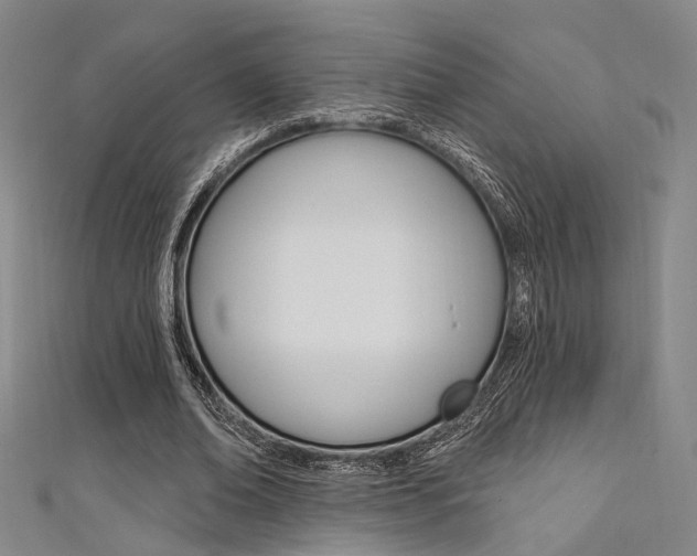 X0000111480678200907141043