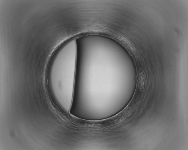 X0000111480680200907141043