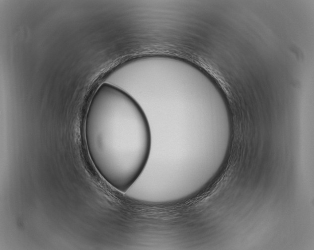 X0000111480681200907141043