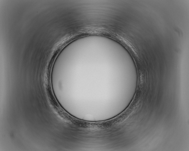 X0000111480682200907141043