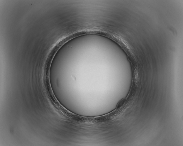 X0000111480684200907141043