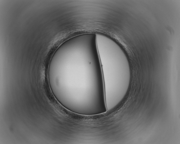 X0000111480685200907141043