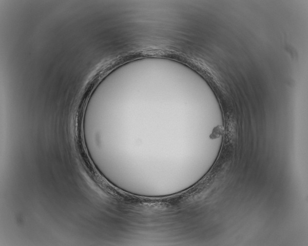 X0000111480686200907141043