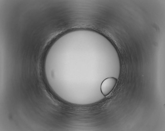 X0000111480688200907141043