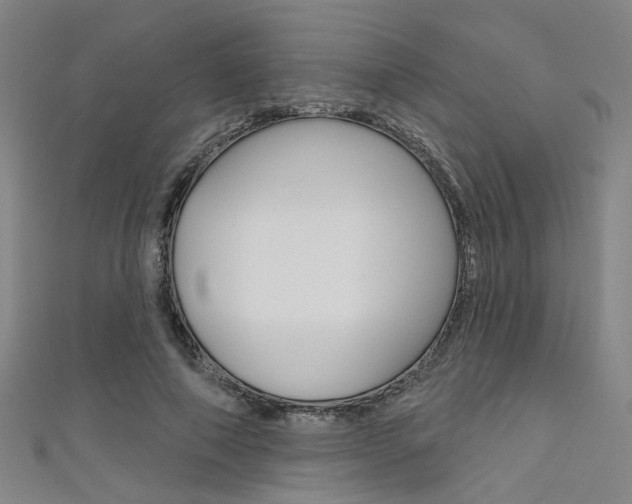 X0000111480690200907141043