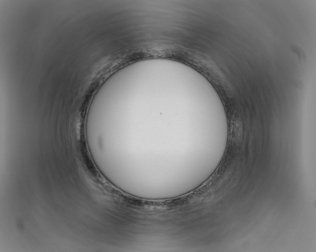 X0000111480694200907141043