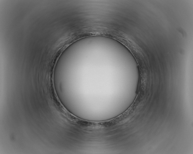 X0000111480696200907141043