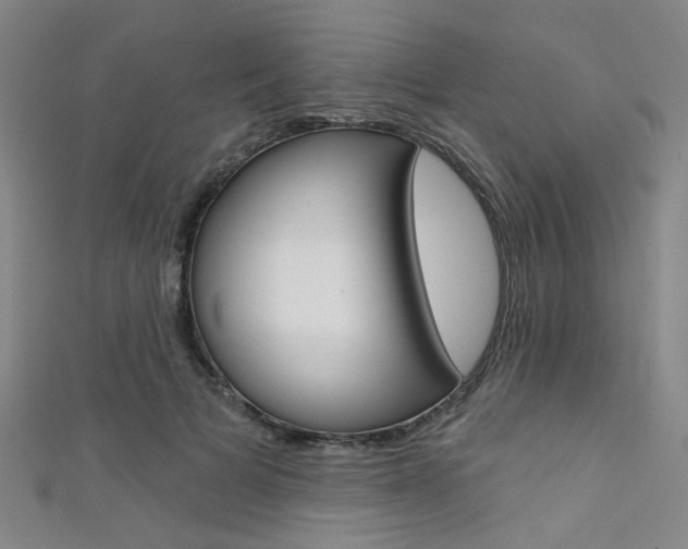 X0000111480697200907141043