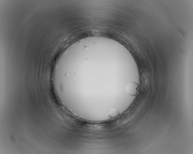 X0000111480698200907141043
