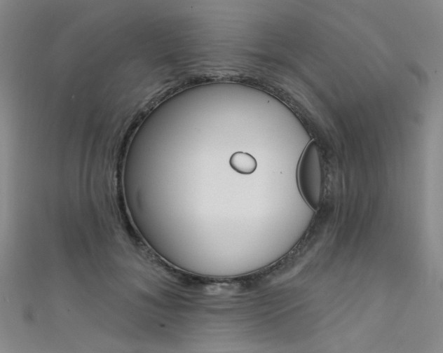 X0000111480700200907141043