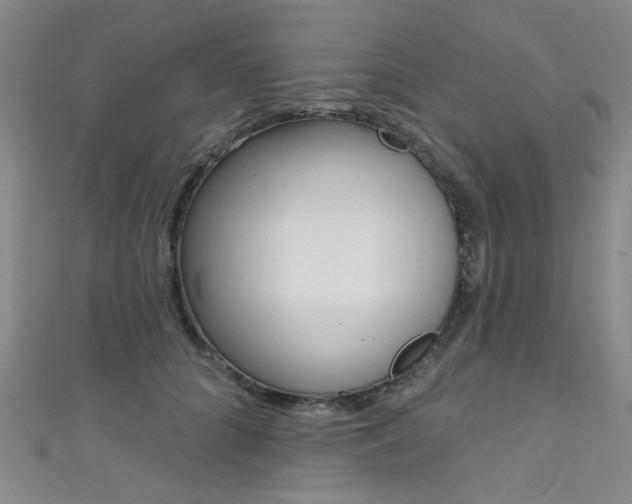 X0000111480704200907141043