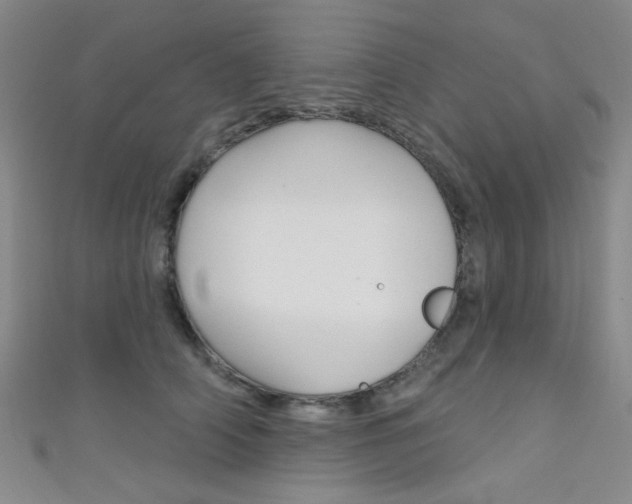 X0000111480706200907141043