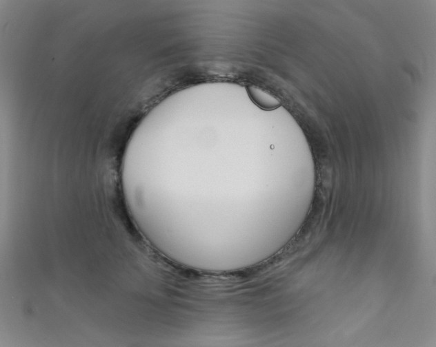X0000111480707200907141043