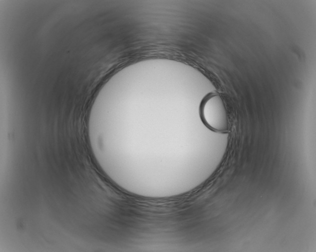 X0000111480708200907141043