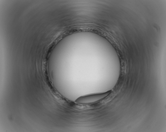X0000111480712200907141043