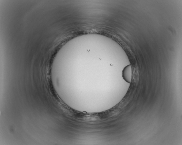 X0000111480714200907141043