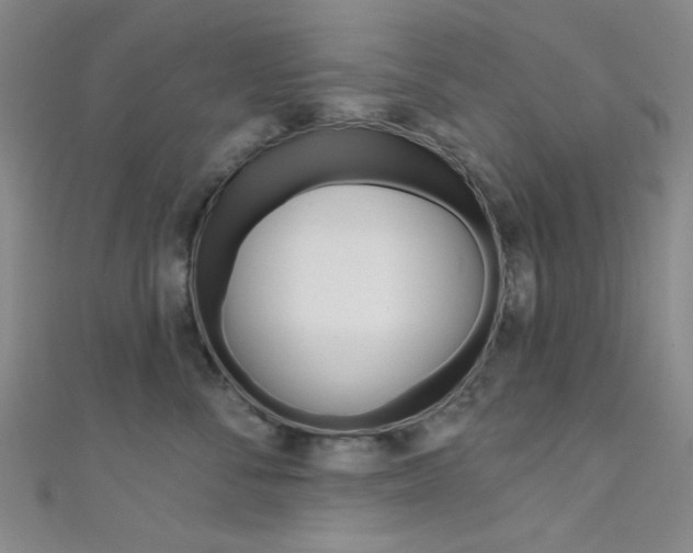 X0000111480716200907141043