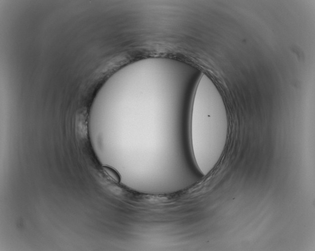 X0000111480719200907141042