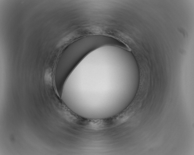 X0000111480720200907141042