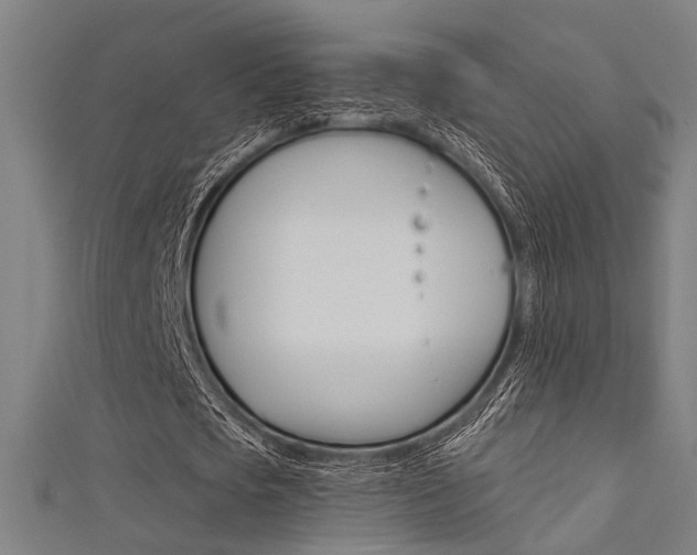 X0000111480721200907141042