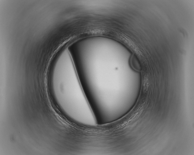 X0000111480722200907141042