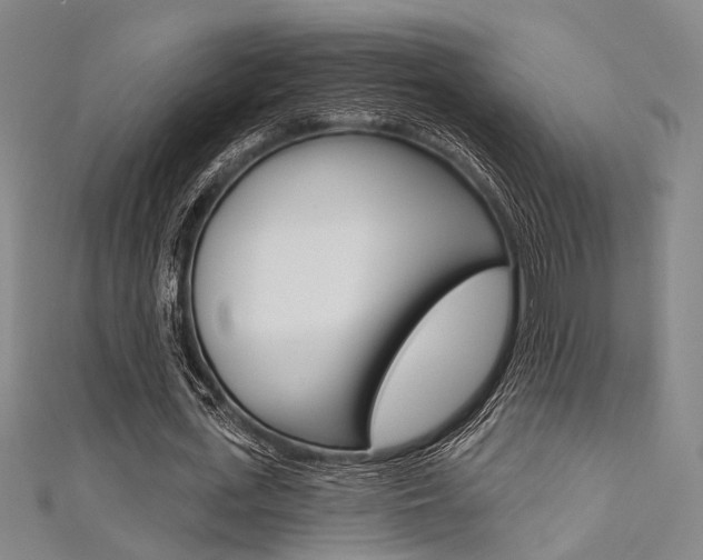 X0000111480723200907141042