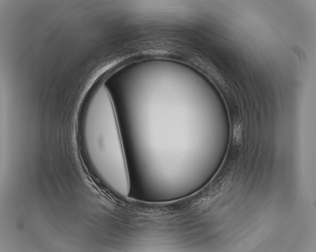 X0000111480724200907141042