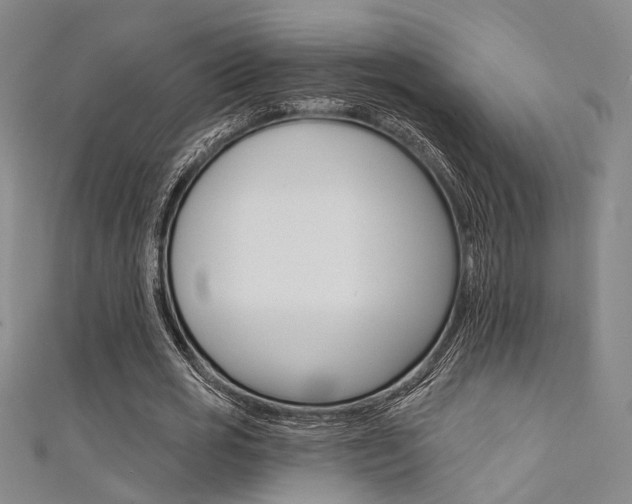 X0000111480725200907141042