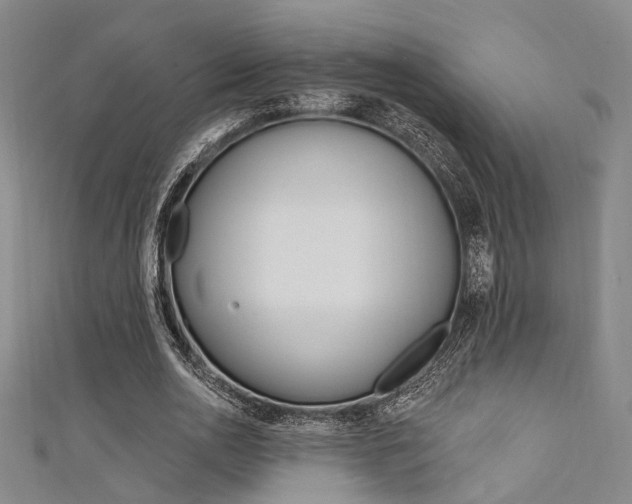 X0000111480726200907141042
