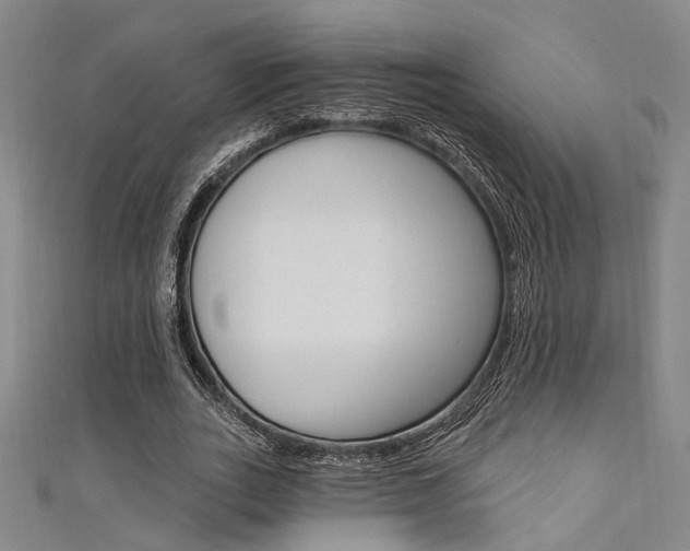 X0000111480727200907141042