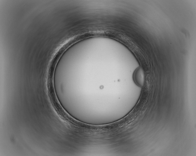 X0000111480728200907141042