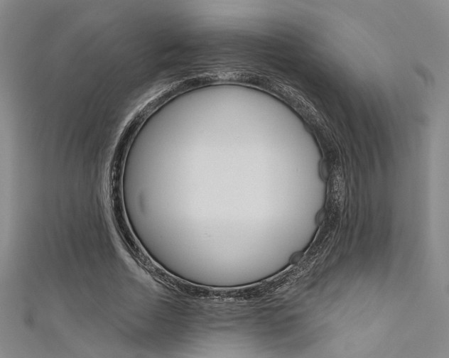 X0000111480730200907141042