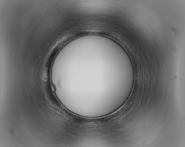 X0000111480731200907141042