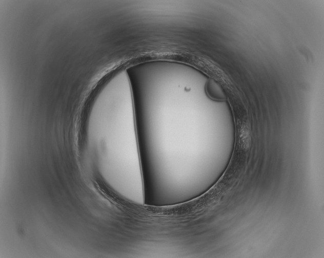 X0000111480732200907141042