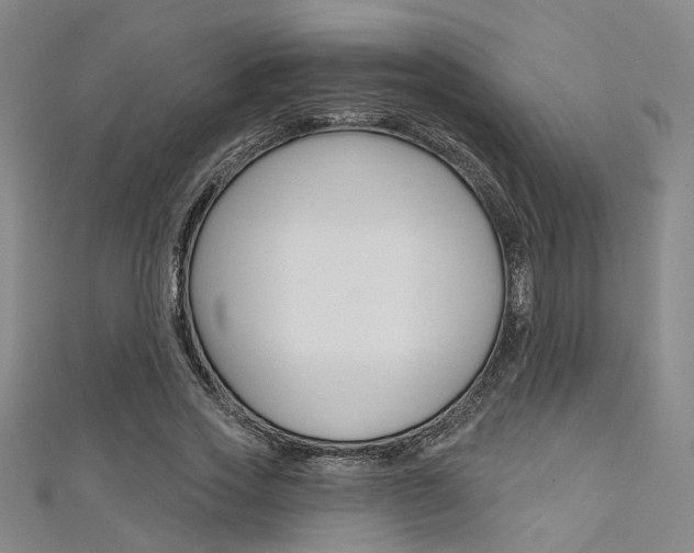 X0000111480733200907141042