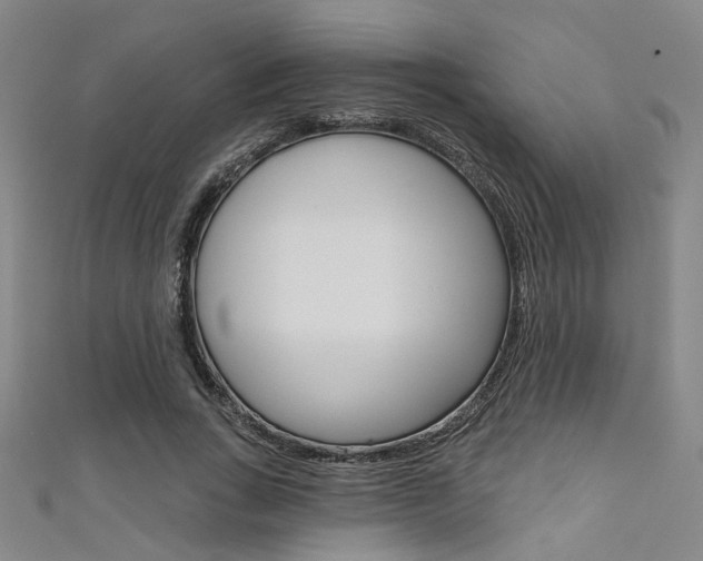 X0000111480735200907141042