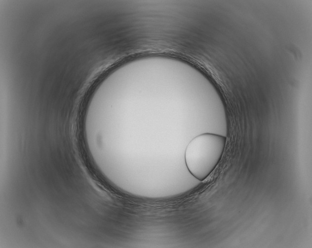 X0000111480736200907141042