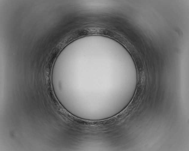 X0000111480737200907141042