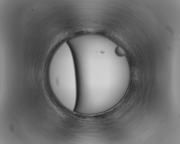 X0000111480738200907141042