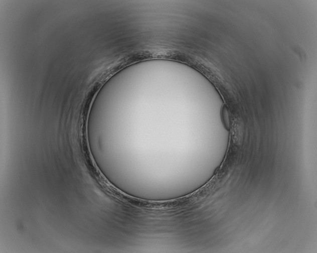 X0000111480740200907141042