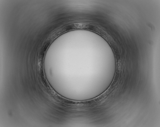X0000111480741200907141042