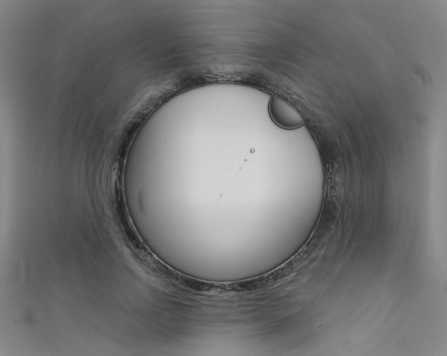 X0000111480742200907141042